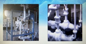 Canned Motor Pump for Ammonia Cryogenic Application