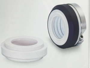 PTFE bellow Seal