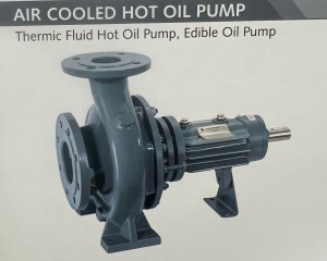 AIR COLLED HOT OIL PUMP/ THERMIC FLUID HOT OIL PUMP/ EDIBLE OIL PUMP